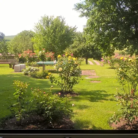 Troendle Daire Weilheim